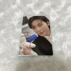 seventeen ウジ　17 is right here