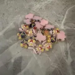 ドンペン ネイパ 20個