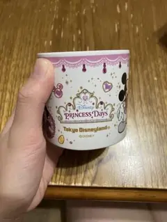 東京ディズニーランド スーベニア マグカップ Princess Days