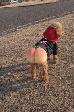 よーちゃん様＊専用ページ