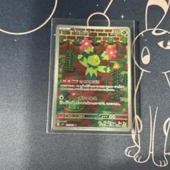 ポケモンカード　マラカッチ　AR１枚