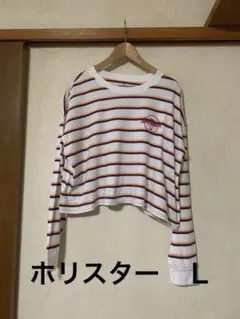 ホリスター　ストライプ クロップド長袖Tシャツ