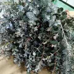 はなこ様 リクエスト 2点 まとめ商品