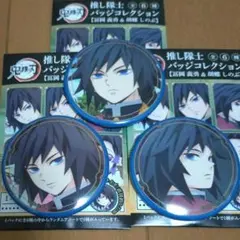 2025年最新】鬼滅の刃 推し隊士バッジコレクション/冨岡 義勇の人気