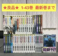 ベルセルク TCG 別れの風景BK2 62/64 パラレルレア - メルカリ