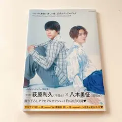 TVドラマ&劇場版「美しい彼」公式ビジュアルブック