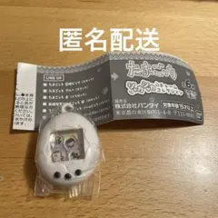 【匿名配送】【新品】たまごっち 白くちぱっち③シャカシャカチャームコレクション