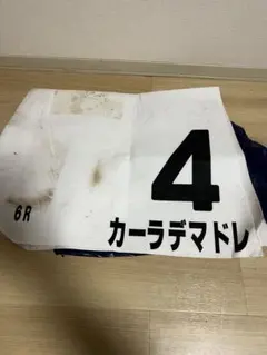 競馬　実使用ゼッケン　カーラデマドレ　キャロット　ルメール騎手騎乗