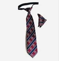 Item thumbnail for item d3720fb0-2e96-41dd-b79b-94774d832f04