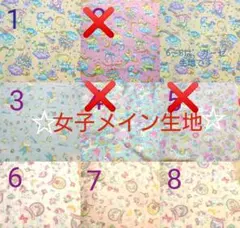 女子 メイン柄見本 入園入学