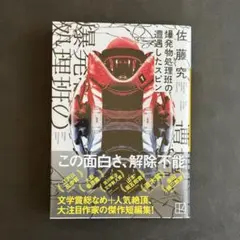 佐藤究 爆発物処理班の遭遇したスピン