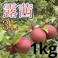 25 露茜　3Lサイズ　1kgのサムネイル