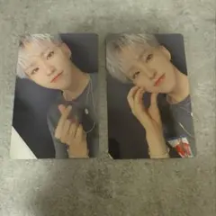 SEVENTEEN 舞い落ちる花びら　ホシ