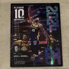 B.LEAGUE D.J.NEWBILL選手 カード