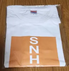 【新品未開封】宮澤佐江　選抜総選挙名言Tシャツ