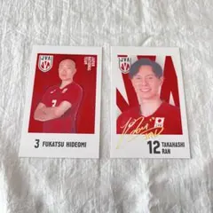 キャラポトレ バレーボール男子日本代表