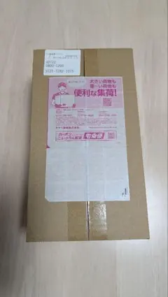 ポケモン　ポケモンセンターフクオカ スペシャルBOX シュリンク付き