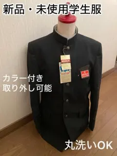 Item thumbnail for item a68baf29-d88e-4438-8e4a-03354a8fb805