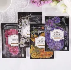 Item thumbnail for item eb0cdb98-743f-47e8-b55b-862b615f9d26