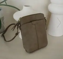 ミニショルダーバッグ、グレーベージュ
