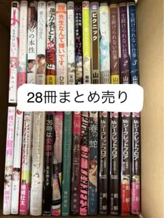 BLコミック28冊まとめ売り【送料キャンペーン価格3/16 15:00まで】