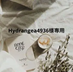 Hydrangea4936様専用　0419