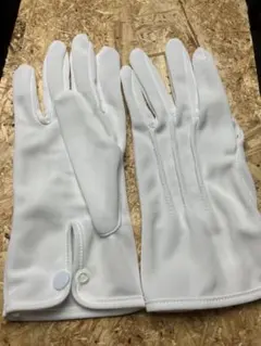 Item thumbnail for item a5f60c11-9c15-4550-be14-257af165549f