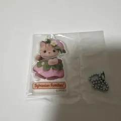 シルバニアファミリー　赤ちゃんアクリルキーチェーン　いちご　シマネコの赤ちゃん