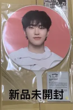 seventeen FOLLOW AGAIN セブチ　うちわ　ピケット　ホシ