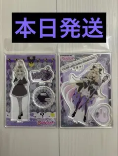 2026年最新】名探偵プリキュア! クリアファイル キュアアルカナ