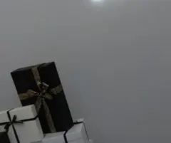 専用です。COACH モノグラム ショルダーバッグ