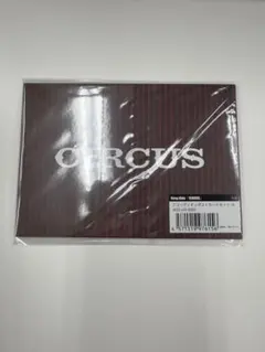 Stray Kids スキズ CIRCUS アコーディオンポストカード A