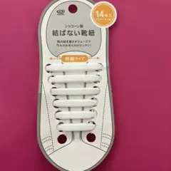 Item thumbnail for item 7cc73337-db07-474a-9ca9-a24428ea3ecf