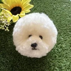 Item thumbnail for item a1819831-17e7-4f56-a035-d773da7e5f89