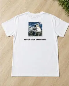 ノースフェイス バックプリント ビッグロゴ Tシャツ 白 L メンズ