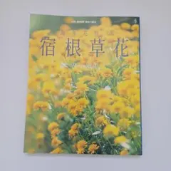 Item thumbnail for item d9a54cf7-7a1b-4ad7-a4a9-6118492b5af5