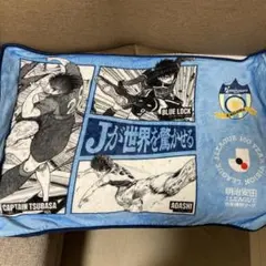 カマタマーレ讃岐 ブランケット カマタマーレ讃岐 ブランケット 応援グッズ - メルカリ