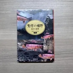 希少・初版】驚愕の曠野 筒井康隆 河出文庫【即購入OK】 - メルカリ