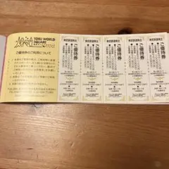 東武ワールドスクエア　割引券　5枚　レジャー　観光　夏休み　ミニチュアのサムネイル