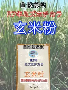 【年始セール】【令和７年産】自然栽培「ミズホチカラ」米粉　１ｋｇ　X　１０袋 4 R7年 自然栽培 ミズホチカラ玄米粉1kg（500g×2） - メルカリ