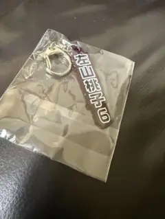 サンフレッチェ 広島 レジーナ ガチャ 6 左山桃子 漢字アクリルキーホルダー