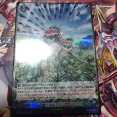 必殺！タネマシンガン！ ホイル