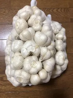 期間限定 福地ホワイト六片にんにくの芽 1kg 農家直送 - メルカリ