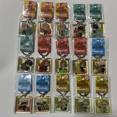 呪術廻戦　ご当地　クリアキーホルダー　虎杖　伏黒　釘崎　五条　七海　15個セット