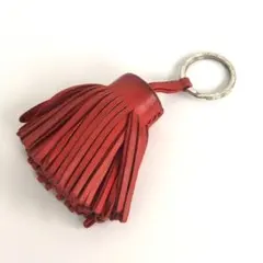 ⭐︎美品⭐︎HERMES エルメス⭐︎チャーム カルメンチータ