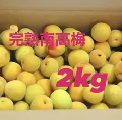 10点限定‼️和歌山県 紀州産 無農薬‼️完熟南高梅 2kg‼️ - メルカリ