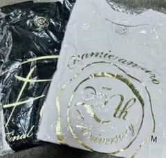 安室奈美恵サン ツアーtシャツ2枚セット　finally