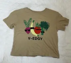 GAP KIDS オーガニックコットン Tシャツ XXL