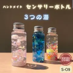 【3つの海】センサリーボトル3本セット　手作りおもちゃ　モンテッソーリ　知育