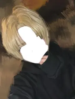 エクス・アルビオ コスプレ ウィッグ センター分けのサムネイル